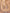 Silsila Aqua Serenity Rose Gold Necklace