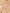 Silsila Hexa Grace Rose Gold Necklace