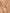 Silsila Hexa Grace Rose Gold Necklace