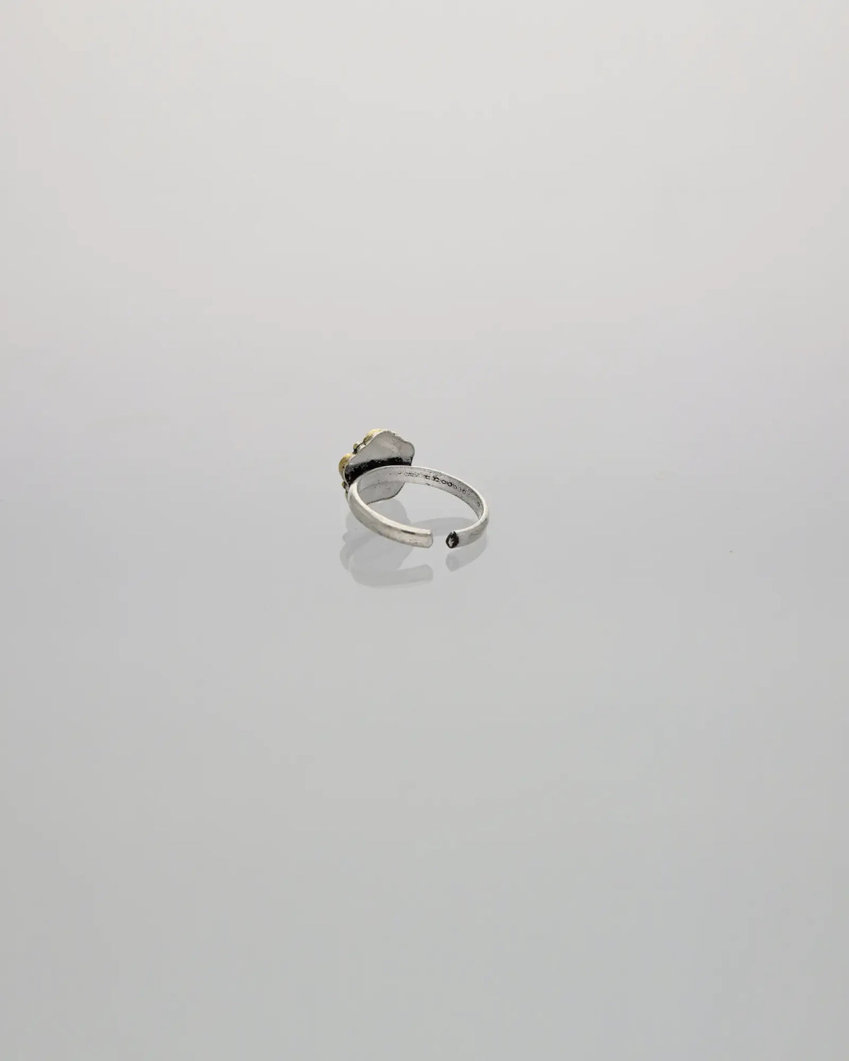 Enchanted Wings Adjustable Toe Ring