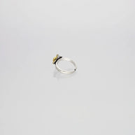 Starlit Grace Toe Ring