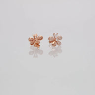 Petal Luxe: Rose Gold Ear Glimmers