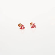 Starry Elegance: Ruby Radiance Set
