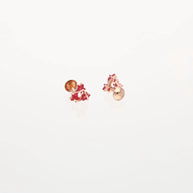 Starry Elegance: Ruby Radiance Set